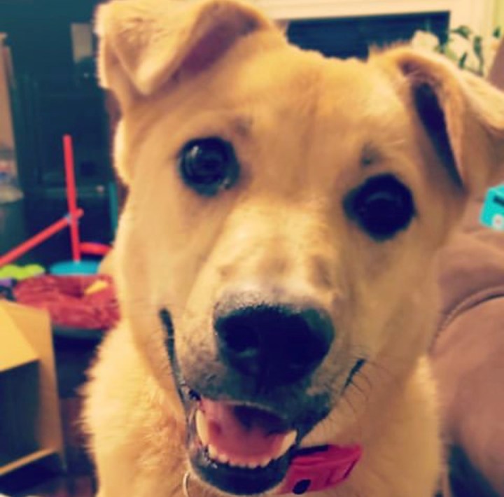 Where Have I&nbsp;Been?