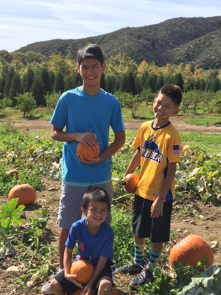 Where the boys&nbsp;are…